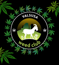 Valsusa Weed Club - Diventa GROWER!