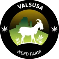 Valsusa Weed Farm